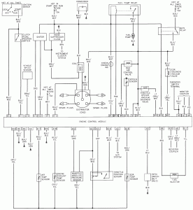 tracker radio wiring diagram