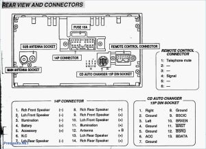 2001 Vw Jetta Radio Wiring Diagram Free Wiring Diagram