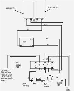 240v Motor Wiring Diagram Single Phase Free Wiring Diagram