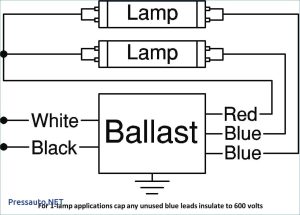 277 Volt Ballast Wiring Diagram Free Wiring Diagram