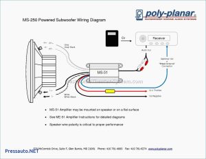 Subwoofer Wiring Diagram Dual 4 Ohm Wiring Diagram