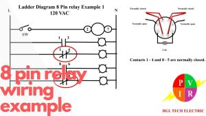 8 Pin Rocker Switch Wiring Diagram Cadician's Blog