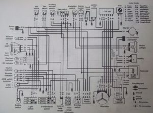 ice bear atv wiring diagram