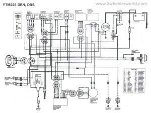 150CC GY6 ENGINE WIRING HARNESS DIAGRAM DETAILED Auto Electrical