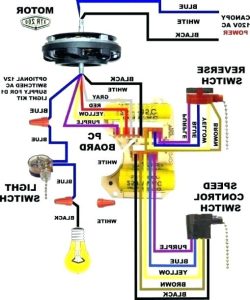 Hunter Ceiling Fan 3 Speed Switch Wiring Diagram Database