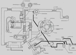 Century Ac Motor Wiring Diagram 115 230 Volts Wiring Diagram