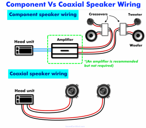 Component Speakers Wiring Diagram Wiring Diagram
