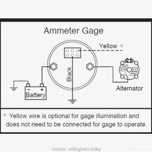[HY_8298] 12 Volt Amp Gauge Wiring Diagram Free Diagram