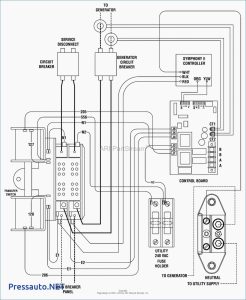 Generac 50 Amp Automatic Transfer Switch Wiring Diagram For Your Needs