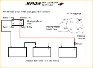 24 Volt Trolling Motor Wiring Diagram Free Wiring Diagram