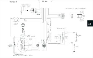 Yamaha Rhino Ignition Switch Wiring Diagram Of Ignition Switch Wiring