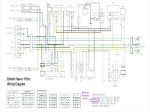 roketa atv wiring diagram Wiring Diagram