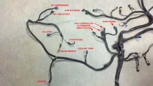What Are The Two Ground Cables On 5.7 Vortec Engine Wiring Diagram