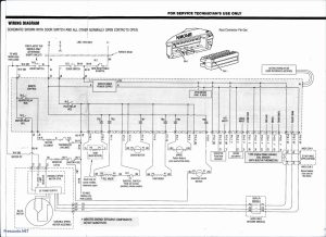 Whirlpool Dryer Wiring Diagram Luxury Fitfathers Me In Blurts