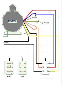 120 Volt Motor Wiring Diagram Homemadeal