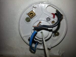 20 Images Pull Cord Switch Wiring Diagram