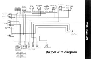 Chinese Atv Wiring Diagram 250cc Free Wiring Diagram