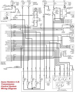 1996 Isuzu Rodeo Radio Wiring Diagram inspiredeck