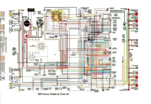 1981 Trans Am Wiring Diagram FULL HD Version Wiring Diagram WWW