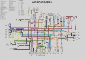 Yamaha 350 Warrior Wiring Schematic schematic and wiring diagram