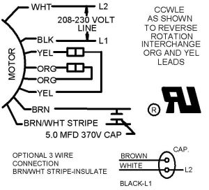 Rheem Blower Motor Wiring Diagram Collection Wiring Diagram Sample