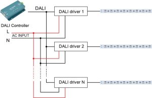 ️Advance Mark 10 Dimming Ballast Wiring Diagram Free Download Qstion.co
