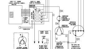 Fan Motor Ac Dual Capacitor Wiring Diagram Ideas Forward