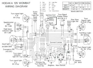 X1 Ninja Pocket Bike Wiring Diagram Wiring Diagram Schemas