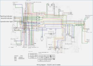 Sunl 50 Wiring Diagram schematic and wiring diagram