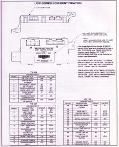 Vr Commodore Bcm Wiring Diagram Wiring Diagram