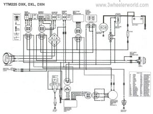 yamaha 350 warrior wiring diagram wiring diagram database Big dog