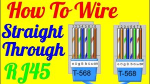 Cat 5 Wiring Diagram T568A Wiring Diagram T568A New Network