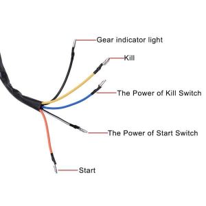 Kill Switch Wiring Diagram ZADIE WEB