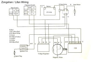Coolster Atv Wiring Diagram Herbally