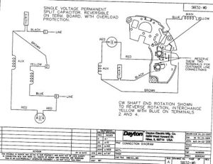 Dayton Single Phase Motor Wiring Diagram Dayton Electric Motors