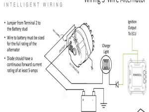 Delco 10si Wiring Diagram