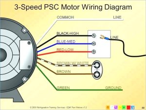 Blower Motor Wiring Diagram Manual For Your Needs