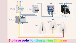 3 phase pole lighting wiring diagram Light manual Light automatic