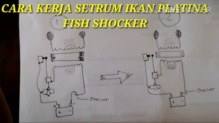 Fish Shocker Wiring Diagram