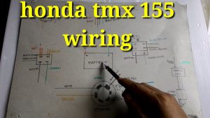 HONDA TMX 155 WIRING YouTube