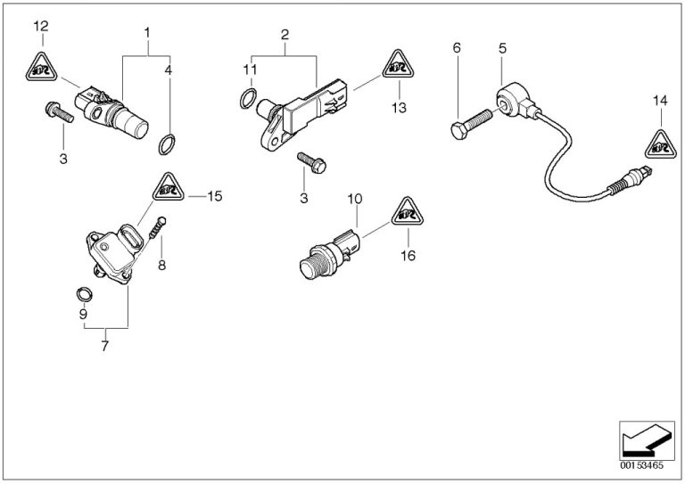 Ve Commodore Fuel Pump Wiring Diagram