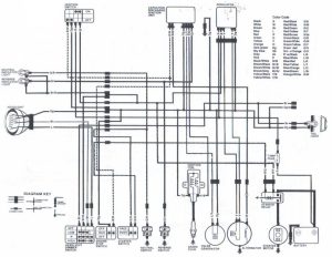 86 Honda Fourtrax Wiring Diagram Wiring Diagram