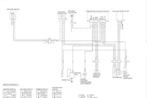 roger vivi ersaks 2007 Trx450r Wiring Diagram