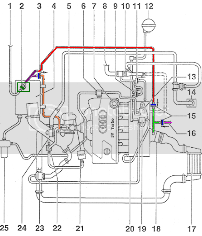 2003 Audi All Road Engine Diagram Wiring Diagrams