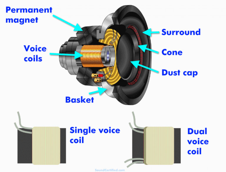 Dual Voice Coil Sub Wiring Diagram
