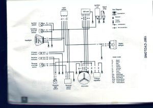 1993 Polaris Trail Boss 250 Wiring Diagram Wiring Diagram