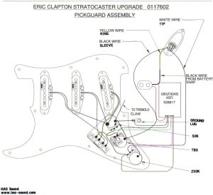️Eric Johnson Stratocaster Wiring Diagram Free Download Qstion.co