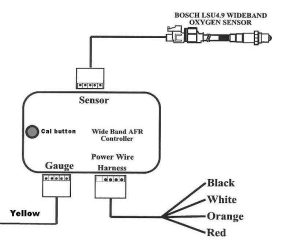 Mustang O2 Sensor Wiring Diagram CERITERAHATINAD