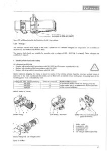 Manual for liftket electrical chain hoist