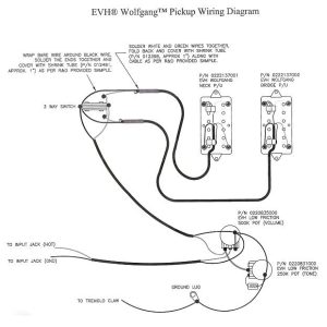 Evh Wolfgang Pickup Wiring Diagram EVH Wolfgang Neck Humbucker Pickup